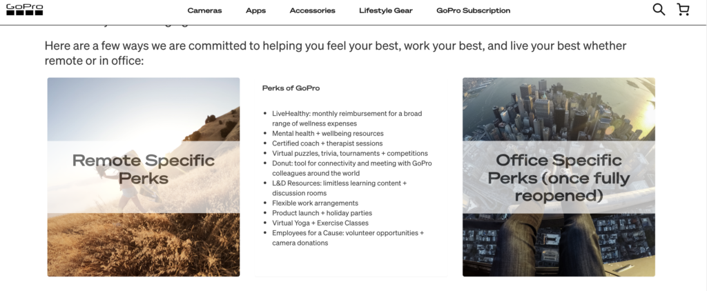 GoPro -job-ad- Feature Image For: Top 6 Job Ad Examples to attract applicants