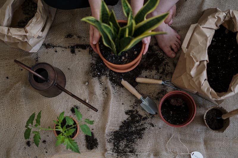 a person holding a vase Feature Image For: Hobbies and Pursuits That Help You Build Job Skills