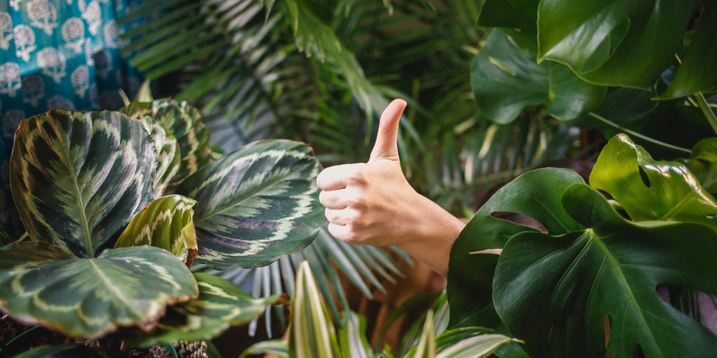 how to create a good first impression when job hunting
