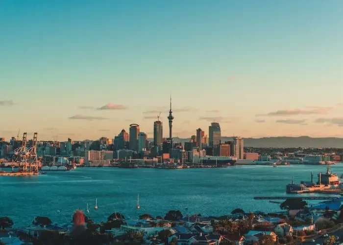 Most In-Demand Jobs in Auckland